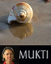 Sea Shell on the beach