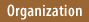 Organization Link